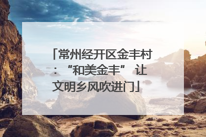 常州经开区金丰村：“和美金丰” 让文明乡风吹进门