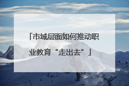 市域层面如何推动职业教育“走出去”