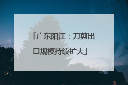 广东阳江：刀剪出口规模持续扩大
