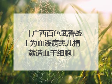 广西百色武警战士为血液病患儿捐献造血干细胞