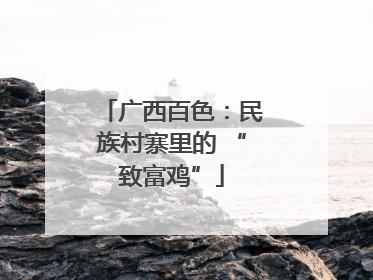 广西百色：民族村寨里的 “致富鸡”
