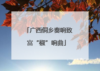 广西侗乡奏响致富“椒”响曲