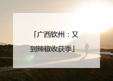 广西钦州：又到辣椒收获季