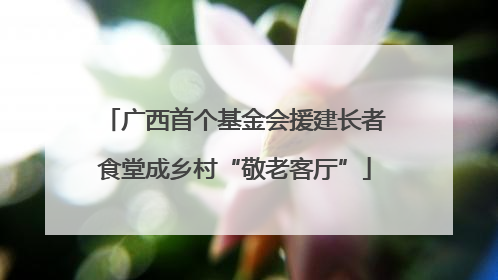 广西首个基金会援建长者食堂成乡村“敬老客厅”