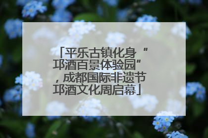 平乐古镇化身“邛酒百景体验园”，成都国际非遗节邛酒文化周启幕