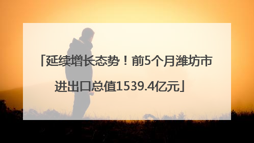 延续增长态势！前5个月潍坊市进出口总值1539.4亿元