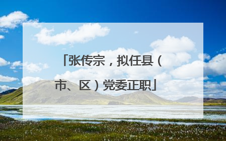 张传宗，拟任县（市、区）党委正职