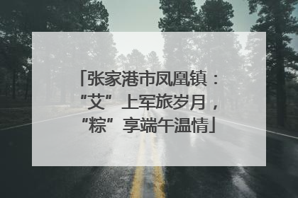 张家港市凤凰镇：“艾”上军旅岁月，“粽”享端午温情