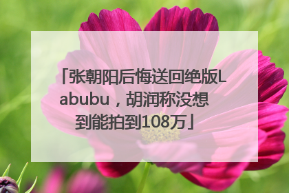 张朝阳后悔送回绝版Labubu，胡润称没想到能拍到108万