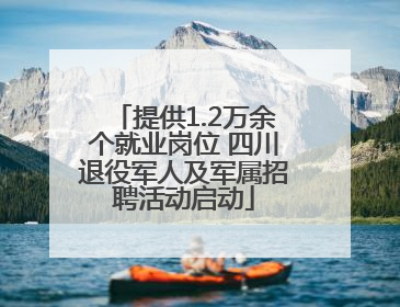 提供1.2万余个就业岗位 四川退役军人及军属招聘活动启动