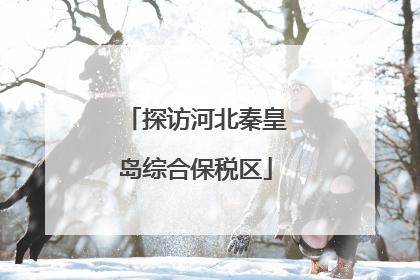 探访河北秦皇岛综合保税区