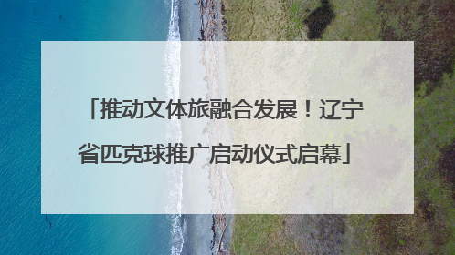 推动文体旅融合发展！辽宁省匹克球推广启动仪式启幕