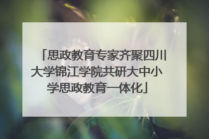 思政教育专家齐聚四川大学锦江学院共研大中小学思政教育一体化
