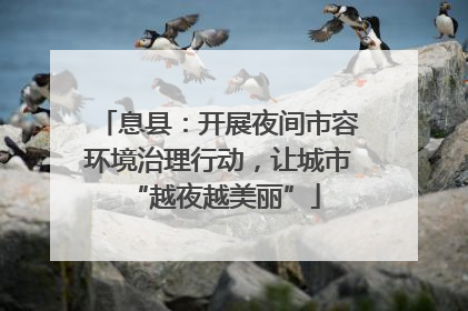息县：开展夜间市容环境治理行动，让城市 “越夜越美丽”