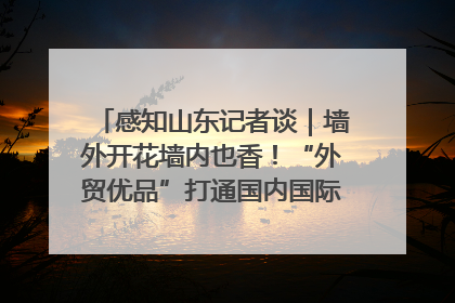 感知山东记者谈｜墙外开花墙内也香！“外贸优品”打通国内国际市场“旋转门”