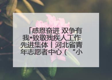 感恩奋进 双争有我•致敬残疾人工作先进集体丨河北省青年志愿者中心（“小橘灯”助残接力计划实施团队）：用温暖陪伴，守护特殊孩子成长