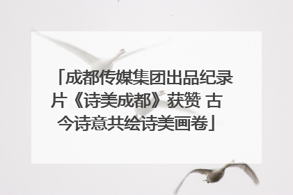 成都传媒集团出品纪录片《诗美成都》获赞 古今诗意共绘诗美画卷