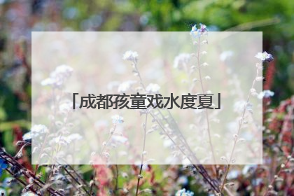 成都孩童戏水度夏