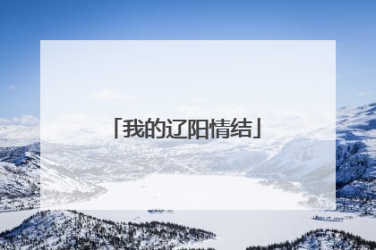 我的辽阳情结