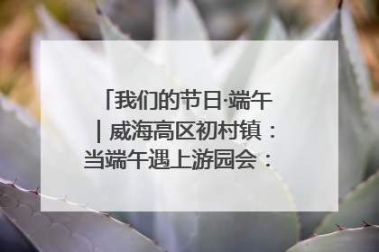 我们的节日·端午｜威海高区初村镇：当端午遇上游园会：来一场“粽”享欢乐的趣味冒险！
