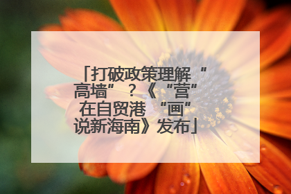 打破政策理解“高墙”？《“营”在自贸港 “画”说新海南》发布