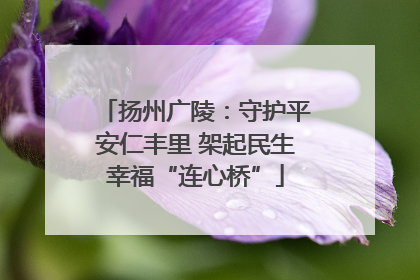 扬州广陵：守护平安仁丰里 架起民生幸福“连心桥”