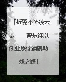 折翼不坠凌云志——曹东锋以创业热忱铺就助残之路
