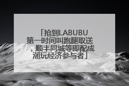 抢到LABUBU第一时间叫跑腿取送，顺丰同城等即配成潮玩经济参与者