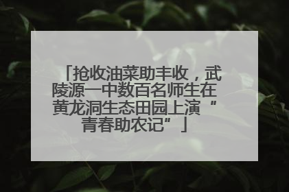 抢收油菜助丰收，武陵源一中数百名师生在黄龙洞生态田园上演“青春助农记”