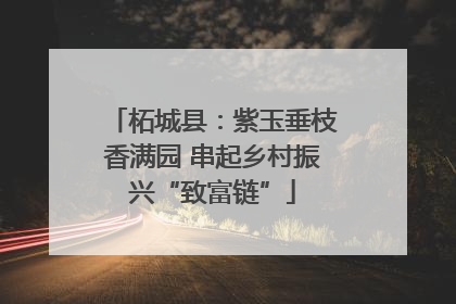 柘城县：紫玉垂枝香满园 串起乡村振兴“致富链”