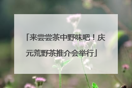 来尝尝茶中野味吧！庆元荒野茶推介会举行