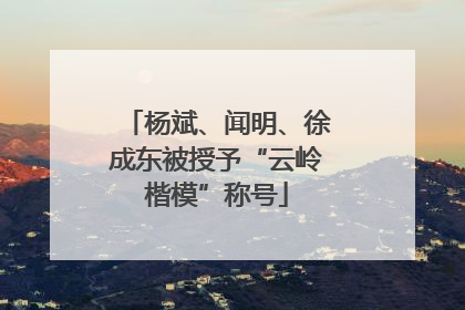 杨斌、闻明、徐成东被授予“云岭楷模”称号