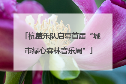 杭盖乐队启幕首届“城市绿心森林音乐周”