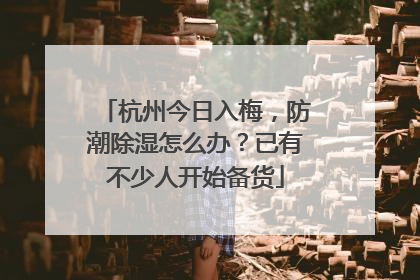 杭州今日入梅，防潮除湿怎么办？已有不少人开始备货