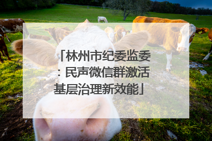 林州市纪委监委：民声微信群激活基层治理新效能