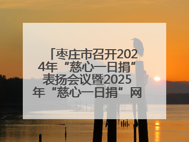 枣庄市召开2024年“慈心一日捐”表扬会议暨2025年“慈心一日捐”网络募捐动员会议