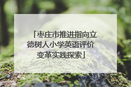 枣庄市推进指向立德树人小学英语评价变革实践探索