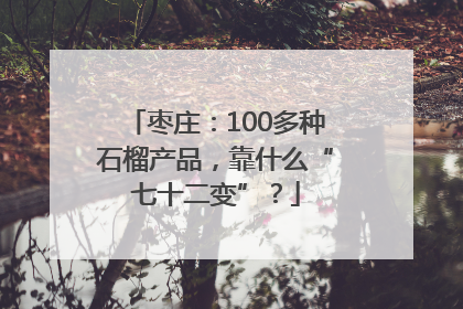 枣庄：100多种石榴产品，靠什么“七十二变”？