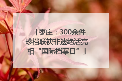 枣庄：300余件珍档联袂非遗绝活亮相“国际档案日”