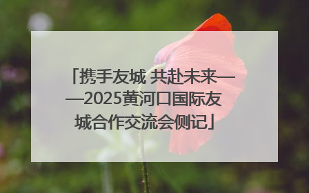携手友城 共赴未来——2025黄河口国际友城合作交流会侧记