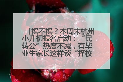 摇不摇？本周末杭州小升初报名启动：“民转公”热度不减，有毕业生家长这样谈“择校真相”……