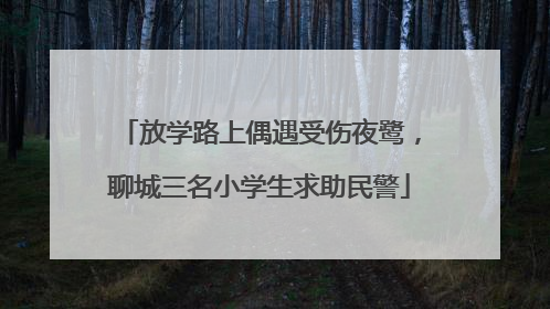 放学路上偶遇受伤夜鹭，聊城三名小学生求助民警