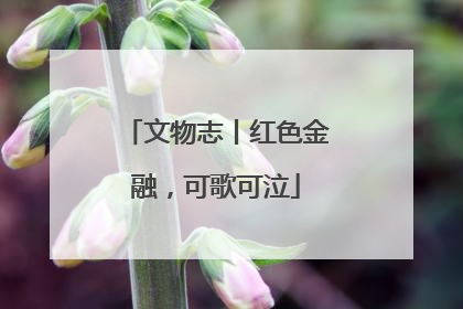 文物志丨红色金融，可歌可泣