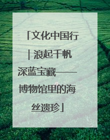 文化中国行｜浪起千帆 深蓝宝藏——博物馆里的海丝遗珍