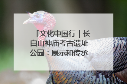 文化中国行｜长白山神庙考古遗址公园：展示和传承多民族文化交融