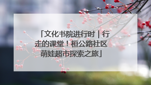 文化书院进行时｜行走的课堂！桓公路社区萌娃超市探索之旅