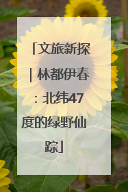 文旅新探｜林都伊春：北纬47度的绿野仙踪