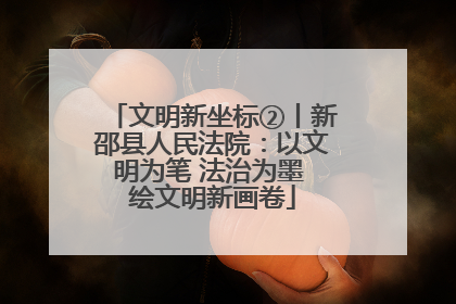 文明新坐标②丨新邵县人民法院：以文明为笔 法治为墨 绘文明新画卷