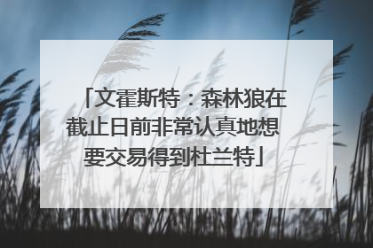 文霍斯特：森林狼在截止日前非常认真地想要交易得到杜兰特