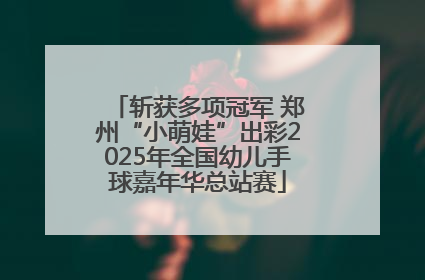 斩获多项冠军 郑州“小萌娃”出彩2025年全国幼儿手球嘉年华总站赛